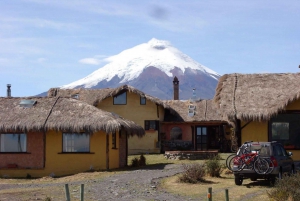 Tour 1 día Parque Nacional Cotopaxi y Quilotoa