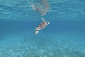 Culebra: Self Guided Day Trip with San Juan Transport