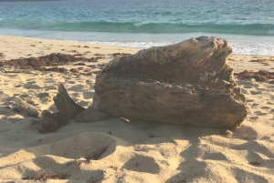 Culebra: Self Guided Day Trip with San Juan Transport