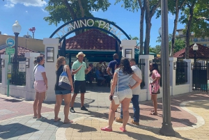 Miami: Little Havana, Wynwood, Walking & Sightseeing tour