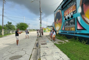 Miami: Little Havana, Wynwood, Walking & Sightseeing tour