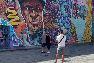 Miami: Little Havana, Wynwood, Walking & Sightseeing tour