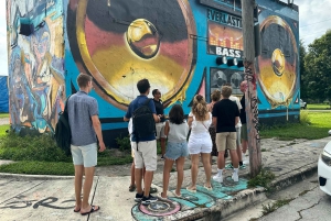 Miami: Little Havana, Wynwood, Walking & Sightseeing tour