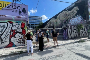 Miami: Little Havana, Wynwood, Walking & Sightseeing tour