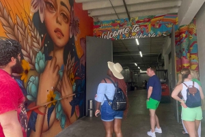 Miami: Little Havana, Wynwood, Walking & Sightseeing tour