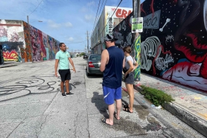 Miami: Little Havana, Wynwood, Walking & Sightseeing tour