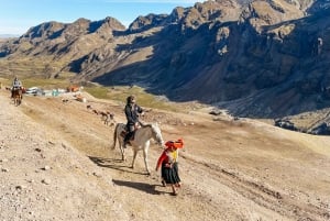 Cuzco: Excursión de un día a la Montaña del Arco Iris y al Valle Rojo (Opcional)