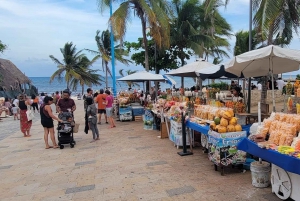 Deluxe Tulum, Coba y 5ª Avenida desde Cancún y Riviera Maya