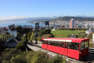 Descubre Wellington - Tour de la ciudad de 3 h