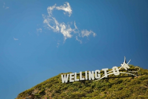 Descubre Wellington - Tour de la ciudad de 3 h