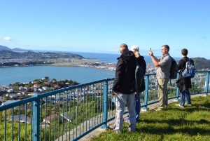 Wellington: Guided City Tour with Cable Car Ticket