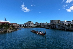 Wellington: Guided City Tour with Cable Car Ticket