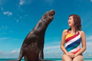 ESPECIES DESCUBIERTAS (LEONES MARINOS Y MANATÍES)