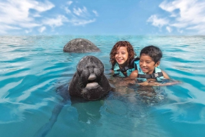 DISCOVERY ESPECIES (SEA LIONS & MANATEES)