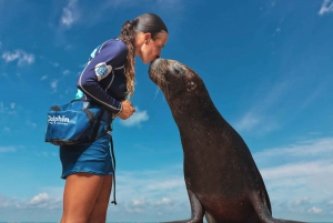 ESPECIES DESCUBIERTAS (LEONES MARINOS Y MANATÍES)