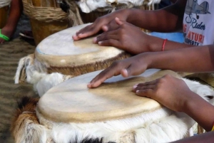 Taller de tambores y danzas con guía alemán o italiano