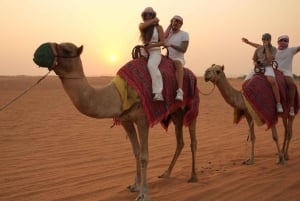 Dubai: Experience 60 Minutes Quad bike & BBQ Dinner