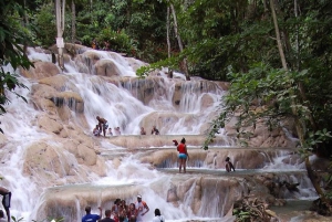 Dunn's River Falls: 5-Hour Excursion from Montego Bay