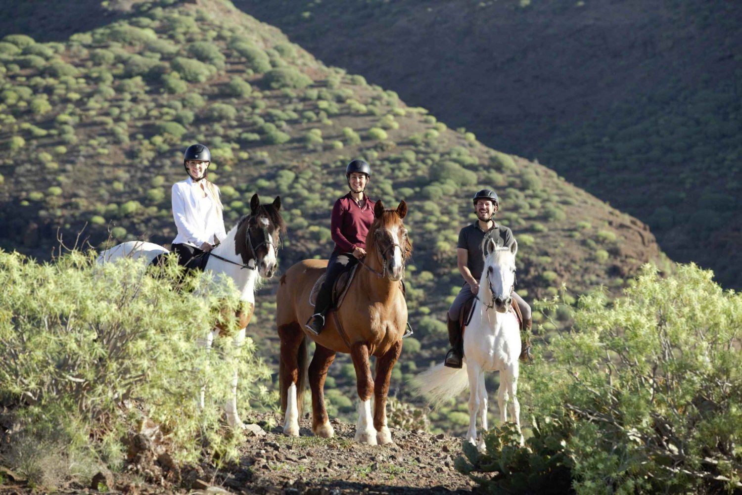 El Salobre: Aventura a caballo con opciones de traslado