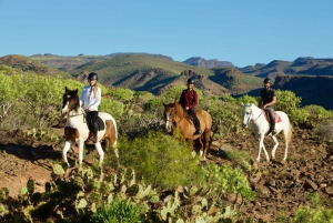 El Salobre: Aventura a caballo con opciones de traslado