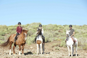 El Salobre: Aventura a caballo con opciones de traslado