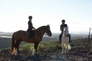 El Salobre: Aventura a caballo con opciones de traslado