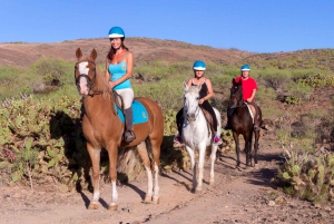 El Salobre: Horse Riding Adventure with Transfer Options