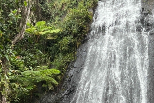 San Juan: El Yunque National Rainforest Sightseeing Tour