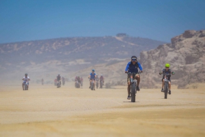 Electric Eco-Bike Beach Adventure with Mexican Lunch