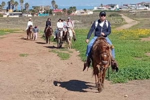 Ensenada: La Bufadora and Playa Hermosa Horseback Riding …