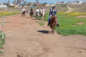 Ensenada: Paseos a Caballo en La Bufadora y Playa Hermosa ...