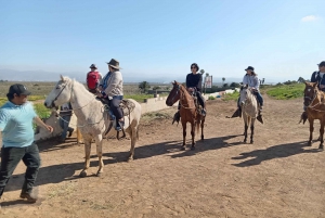 Ensenada: Paseos a Caballo en La Bufadora y Playa Hermosa ...