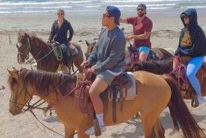 Ensenada: Aventura a Caballo en La Bufadora y la Playa