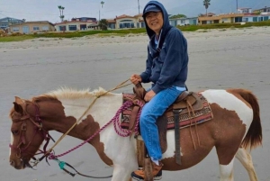 Ensenada: Aventura a Caballo en La Bufadora y la Playa