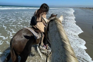 Ensenada: Aventura a Caballo en La Bufadora y la Playa