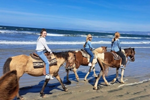 Ensenada: Aventura a Caballo en La Bufadora y la Playa