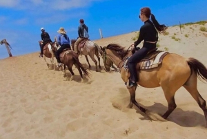 Ensenada: La Bufadora & Beach Horseback Riding Adventure