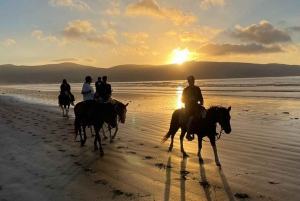 Ensenada: Aventura a Caballo en La Bufadora y la Playa