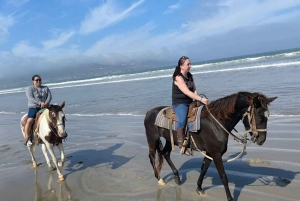 Ensenada: La Bufadora & Beach Horseback Riding Adventure