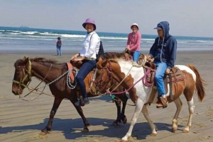 Ensenada: Aventura a Caballo en La Bufadora y la Playa