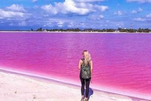 Excursión a Ría Lagartos, Coloradas y Playa Cancúnito