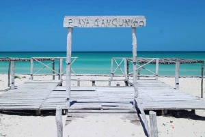 Excursión a Ría Lagartos, Coloradas y Playa Cancúnito