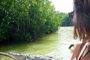 Excursión a Ría Lagartos, Coloradas y Playa Cancúnito