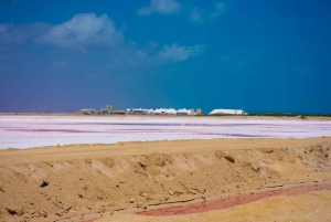 Excursión a Ría Lagartos, Coloradas y Playa Cancúnito