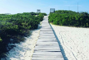 Excursión a Ría Lagartos, Coloradas y Playa Cancúnito