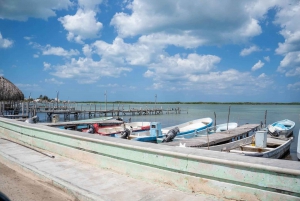 Excursión a Ría Lagartos, Coloradas y Playa Cancúnito