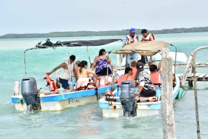 Excursión a Ría Lagartos, Coloradas y Playa Cancúnito