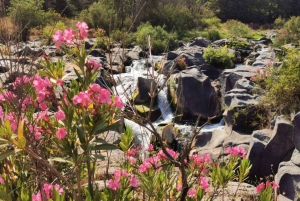 Excursión por el Valle de Alcántara