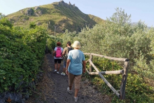 Excursion in the Alcantara Valley