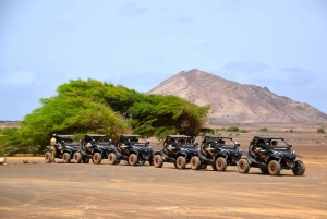 Explore Sal Island by Buggy: the Ultimate Off-Road Adventure